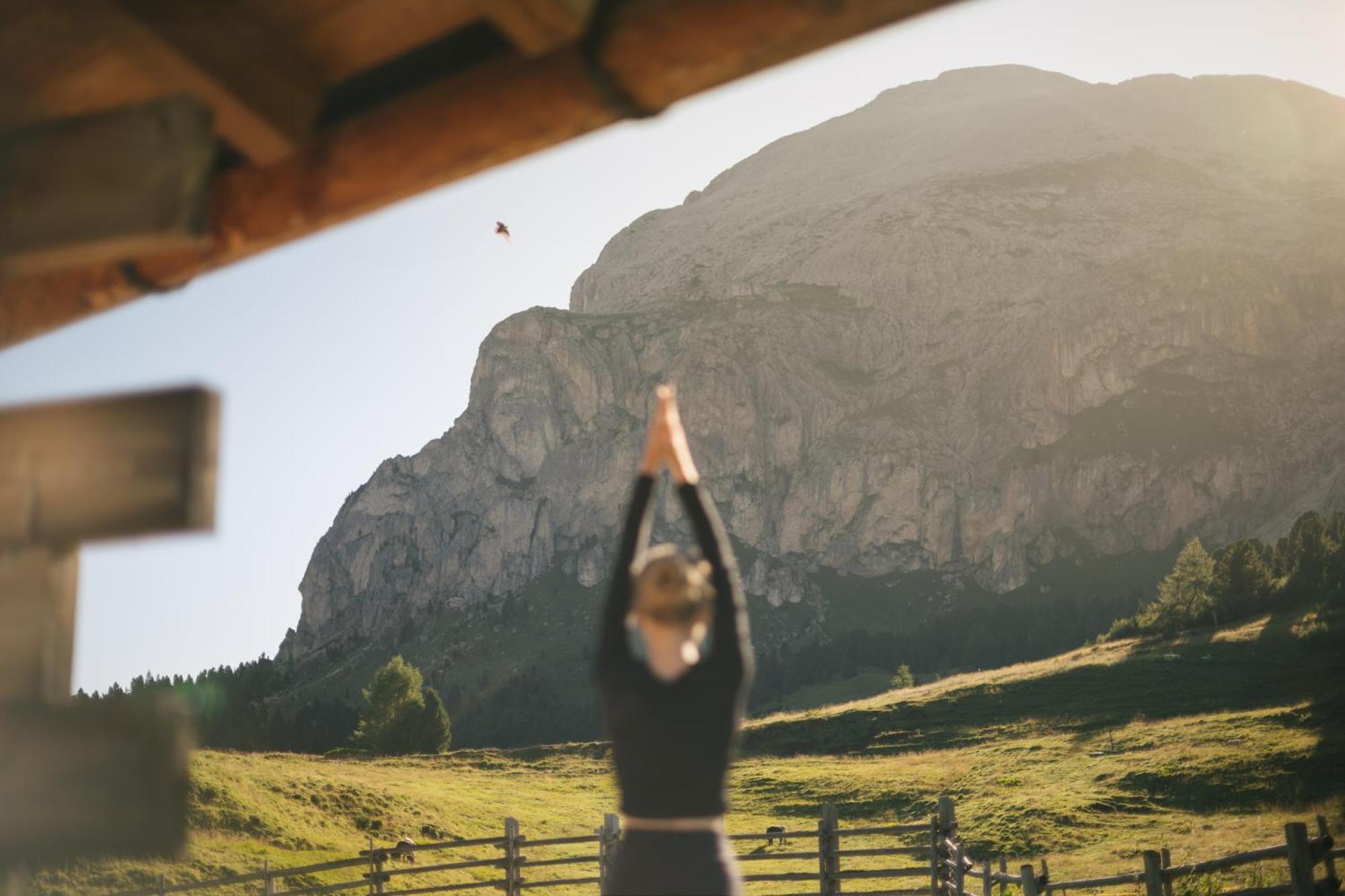 Zallinger Dolomites Alpe Di Siusi Eksteriør bilde