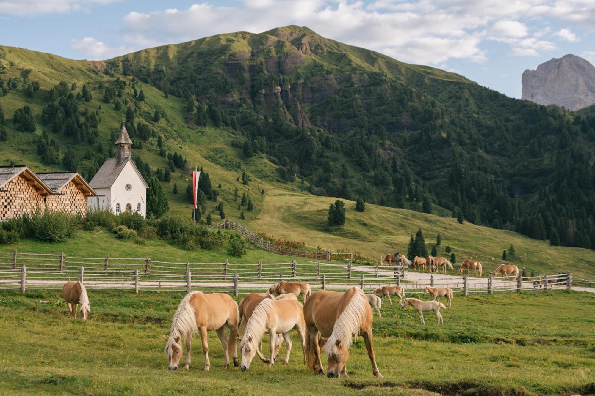 Zallinger Dolomites Alpe Di Siusi Eksteriør bilde